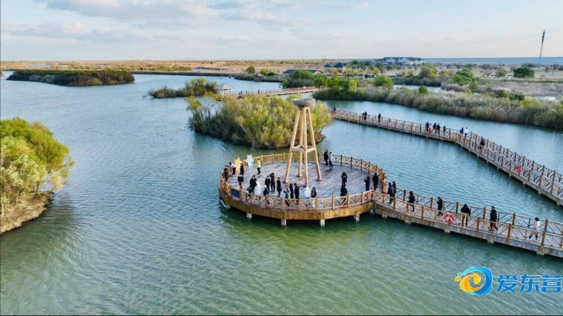 术执行上的 术执行上的